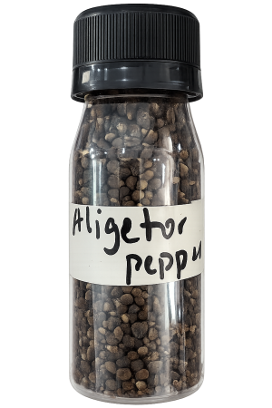 Alligator Pepper Meknubs
